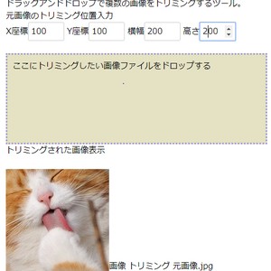 ツールでのトリミング